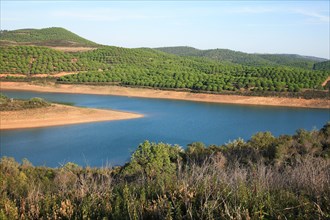 Landscape at Barragem da Bravura reservoir with pine forest