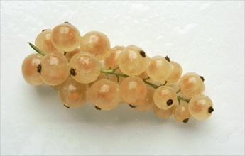 Yellow or white currants