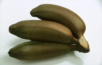 Bananas: red fire bananas