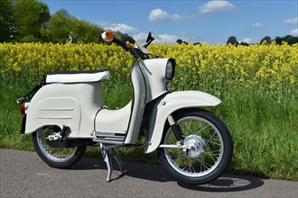 Moped Schwalbe from the GDR in front of a rape field