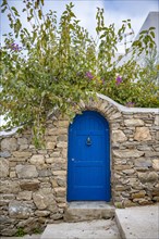 Overgrown house wall with blue entrance door