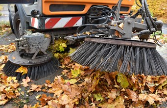Sweeper sweeps wilted leaves from the road