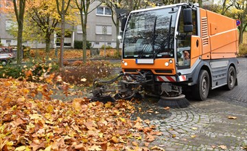 Sweeper sweeps wilted leaves from the road