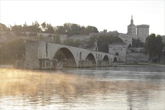 The Pont des Avignon and the Palais des Papes and Cathedral across the Rhone river