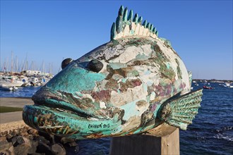 Wooden colourful fish sculptures