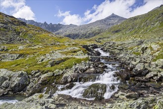 Mountain stream in Gradental