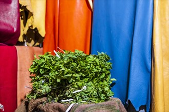 Fresh mint leaves sold on the market with colorful leathers as the background