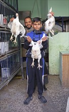 Jordanians with chickens in their shop
