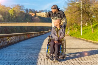 Smiling disabled person in a wheelchair walking with his brother in a park at sunset