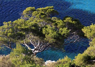 Pines and the blue waters of the Calanque de Sormiou