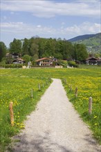 Flower meadow with path and houses in spring