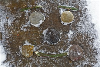 Face made of polished stones and other natural materials in winter