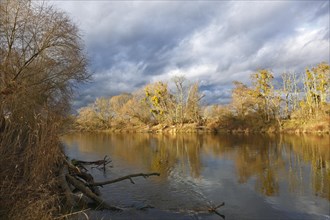 Late autumn on the Mulde River near Dessau