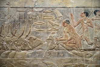 Men in boat on the Nile