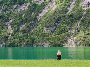 Young girl sitting at the shore of Achensee