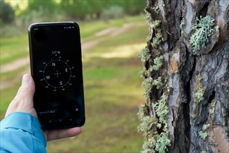 Woman orienting herself in the forest with her smart phone's compass following a trail in the pine forest