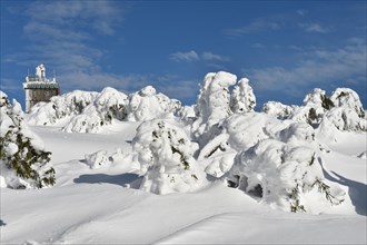 Icy and snowy forest on the Brocken