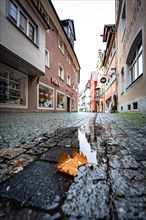 Cobbled street with puddle and leaf in the water on a rainy day