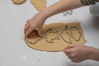 Close-up of childrens hands making cookie shapes with the help of cookie cutters