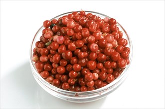 Ripe lingonberry