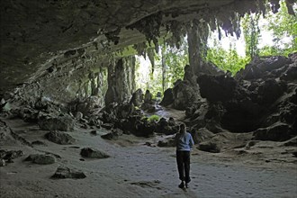 Niah Cave Complex