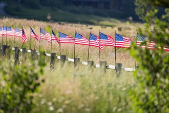 Row of american flags waving in the wind along A fence