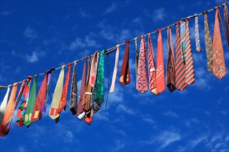 Many colourful ties hanging on a clothesline