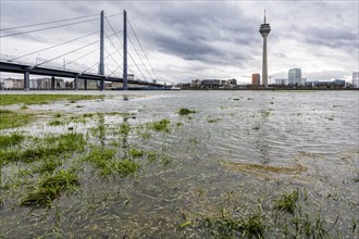 Rising water level on the Rhine in Duesseldorf