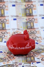 Piggy bank with the inscription Capitalist Pig and 50 euro banknotes