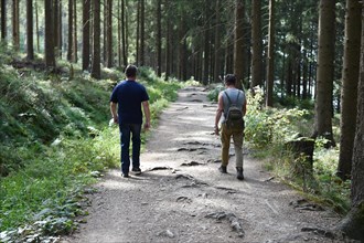 Woman and man hiking in the Darss Forest