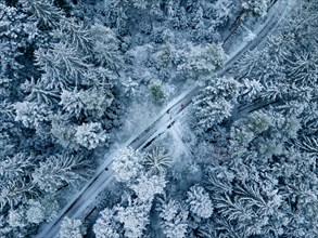 Aerial view of small road in forest with snow