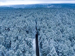 Aerial view of small road in forest with snow