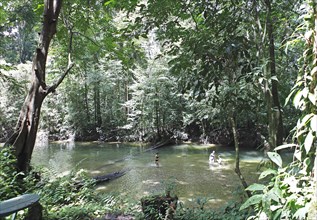 Melinau River in the rainforest