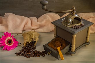 Coffee beans and ground coffee with coffee grinder and flowers