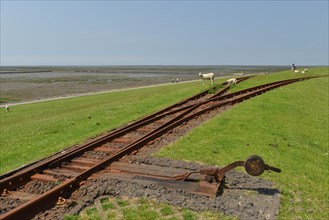 Tracks of the Halligbahn on the North Sea coast