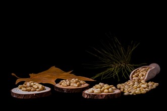 Pine nuts on slices of wood dried leaves and pine branch