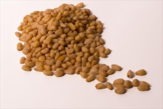 Close-up of fresh peeled pine nuts isolated