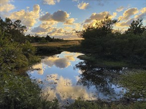 Evening clouds reflected in a small lake