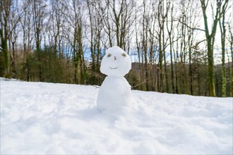 Snowman in winter in the Artikutza natural park