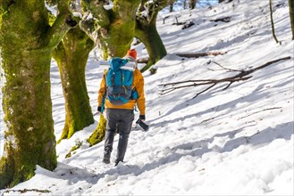 Photographer trekking with a backpack taking winter photos of a beech forest with snow