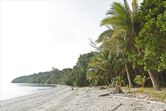 Pristine beach on Pulau Tiga or Survivor Island