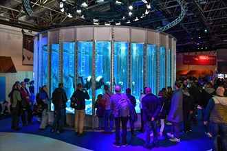 Spectators surround fair visitors looking in new diving tower in exhibition hall of water sports fair boot