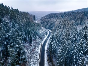 Road through the forest in the snow