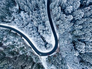 Aerial view of a road bend through the forest in the snow