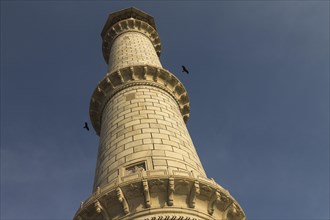 Minaret of Taj Mahal lit by the warm rays of the early-morning sun with some birds flying above the tower