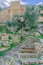 Stairs going up to the castle walls with an olive tree on the way and cloudy sky
