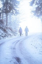 Two hikers in the forest in snow and fog