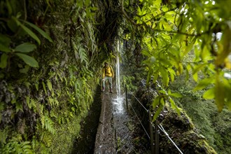 Hikers on a narrow path along a levada with a waterfall