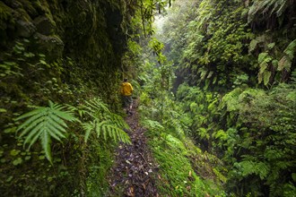 Hikers on a narrow footpath