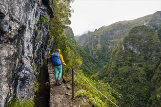 Hiker on a Levada